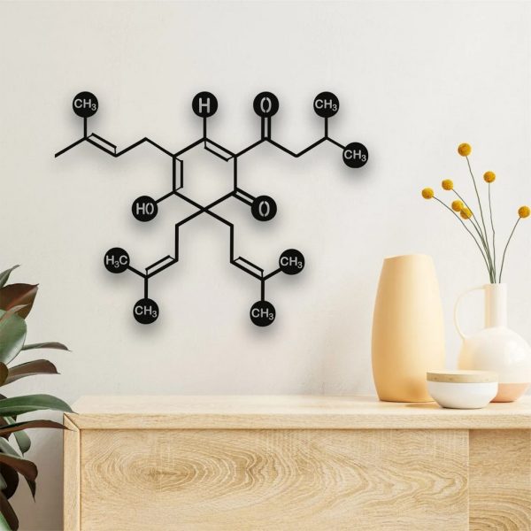 Beer Molecule Metal Wall Art Laser Cut Metal Sign Biology Chemistry Art Decor for Room