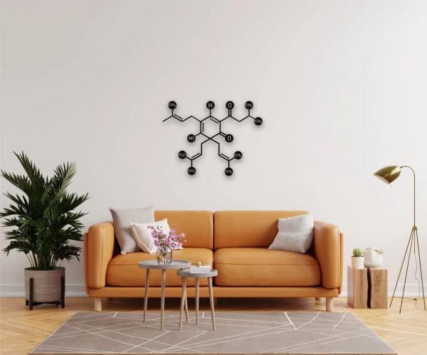 Beer Molecule Metal Wall Art Laser Cut Metal Sign Biology Chemistry Art Decor for Room