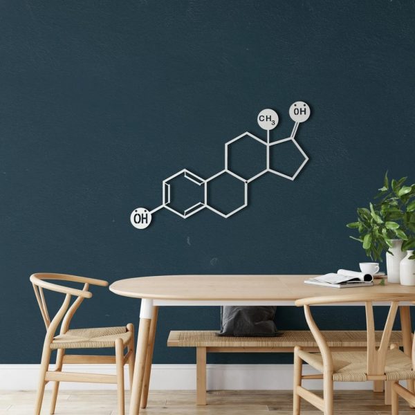 Estrogen Molecule Metal Wall Art Laser Cut Metal Sign Science Art Chemistry Art Decor for Room