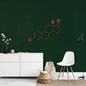 Estrogen Molecule Metal Wall Art Laser Cut Metal Sign Science Art Chemistry Art Decor for Room 4