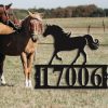 Horse Address Sign Custom House Number Signs Home Decor Gift for Horse Lover 2