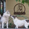 Personalized Wolfhound Dog Metal Name Sign Gardern Decor Gift for Dog Lovers 2