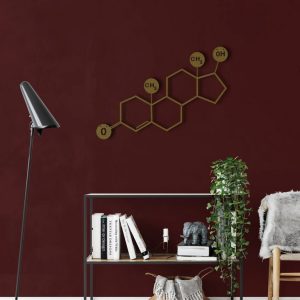 Testosterone Molecule Metal Wall Art Laser Cut Metal Sign Biology Chemistry Art Decor for Room 3