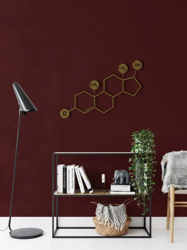 Testosterone Molecule Metal Wall Art Laser Cut Metal Sign Biology Chemistry Art Decor for Room