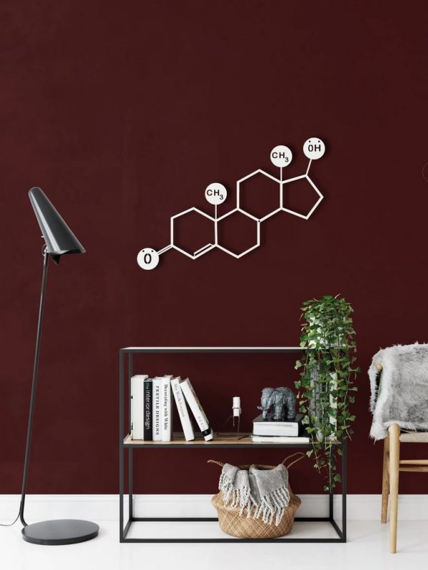 Testosterone Molecule Metal Wall Art Laser Cut Metal Sign Biology Chemistry Art Decor for Room