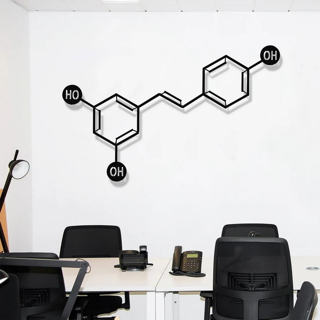 Wine Molecule Metal Wall Art Laser Cut Metal Sign Biology Chemistry Art Decor for Room