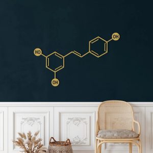 Wine Molecule Metal Wall Art Laser Cut Metal Sign Biology Chemistry Art Decor for Room 2