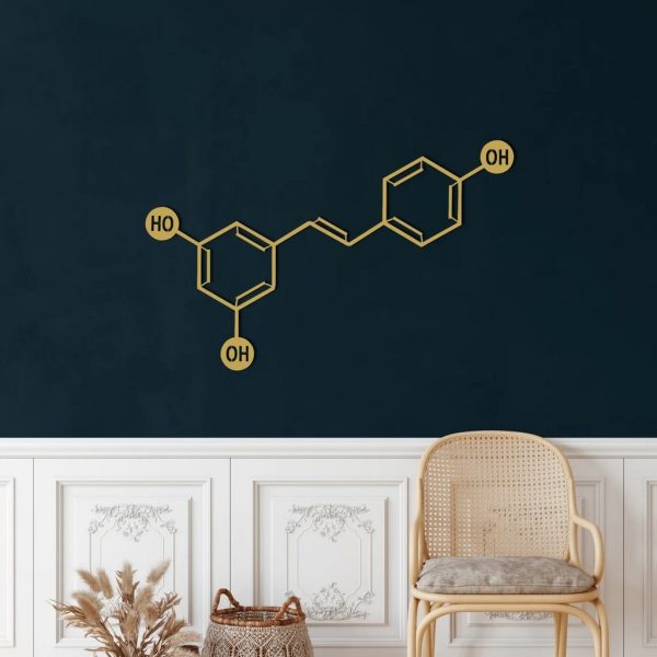 Wine Molecule Metal Wall Art Laser Cut Metal Sign Biology Chemistry Art Decor for Room