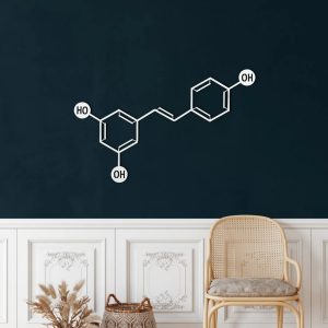 Wine Molecule Metal Wall Art Laser Cut Metal Sign Biology Chemistry Art Decor for Room 3