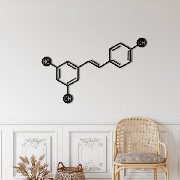 Wine Molecule Metal Wall Art Laser Cut Metal Sign Biology Chemistry Art Decor for Room