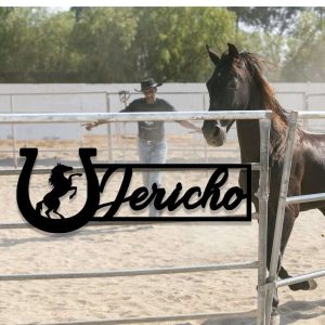 Personalized Horse Name Plate Metal Horse Stall Sign Barn Ranch Decor Horseshoe 1