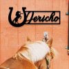 Personalized Horse Name Plate Metal Horse Stall Sign Barn Ranch Decor Horseshoe 3