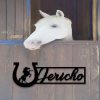 Personalized Horse Name Plate Metal Horse Stall Sign Barn Ranch Decor Horseshoe 4