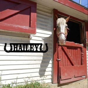 Horse Stall Name Plate Horse Lover Name Sign Horse Farm Personalized Metal Sign