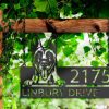 Personalized Belgian Malinois Dog Cute Puppy Address Sign House Number Plaque Custom Metal Sign 2