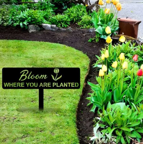 Personalized Bloom Where You Are Planted Tulip Flower Garden Decorative Custom Metal Sign