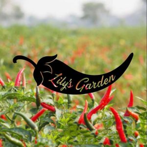 Personalized Hot Chillies Chilli Garden Decorative Custom Metal Sign 3