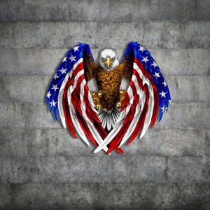 Personalized Patriot Eagle American Flag Sign Independence Day Veteran Day Patriotic Decor Custom Metal Sign 1