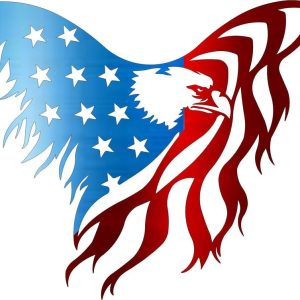 Personalized Red White Blue Eagle Sign Independence Day Veteran Day Patriotic Decor Custom Metal Sign