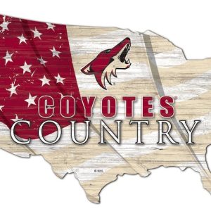 Arizona Coyotes USA Country Flag Metal Sign Ice Hockey Signs Gift for Fans