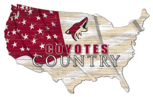 Arizona Coyotes USA Country Flag Metal Sign Ice Hockey Signs Gift for Fans