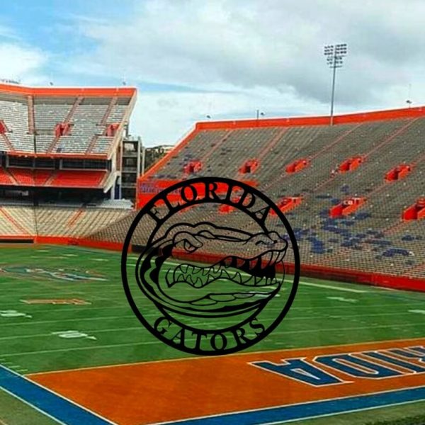 Florida Gators  Metal Sign Football Signs Gift for Fans