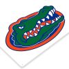 DINOZOZO Florida Gators Tin Sign College Football NCAA Gift for Fans Custom Metal Signs