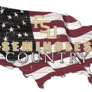 Florida State Seminoles USA Country Flag Metal Sign Florida State University Signs Gift for Fans Custom Metal Signs