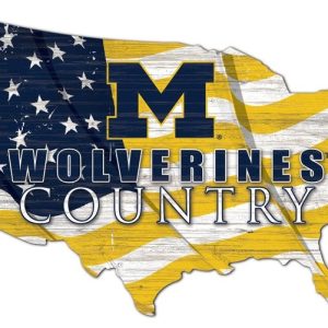 DINOZOZO Michigan Wolverines USA Country Flag Metal Sign University of Michigan Athletics Signs Gift for Fans Custom Metal Signs