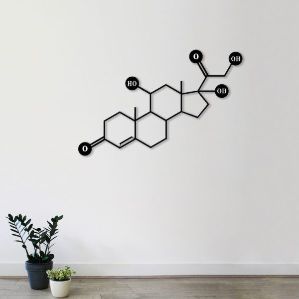 DINOZOZO Cortisol Molecule Science Art Chemistry Art Custom Metal Signs
