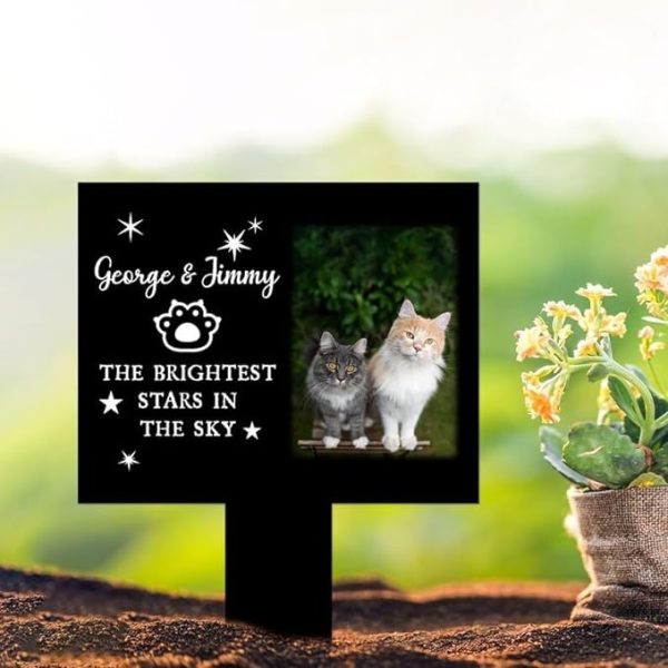 DINOZOZO Custom Cat Photo The Brightest Stars in The Sky Pet Grave Marker Garden Stakes Pet Memorial Gift Custom Metal Signs
