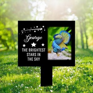 DINOZOZO Custom Fish Photo The Brightest Stars in The Sky Fish Grave Marker Garden Stakes Fish Memorial Gift Custom Metal Signs1