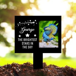 DINOZOZO Custom Fish Photo The Brightest Stars in The Sky Fish Grave Marker Garden Stakes Fish Memorial Gift Custom Metal Signs