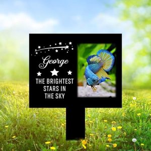 DINOZOZO Custom Fish Photo The Brightest Stars in The Sky Fish Grave Marker Garden Stakes Fish Memorial Gift Custom Metal Signs