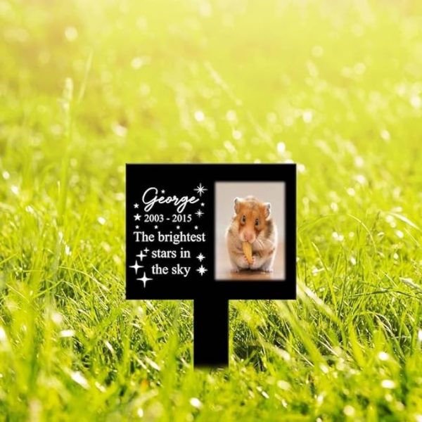 DINOZOZO Custom Hamster Photo The Brightest Stars in The Sky Hamster Grave Marker Garden Stakes Hamster Memorial Gift Custom Metal Signs