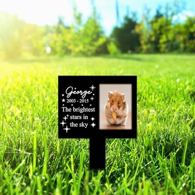 DINOZOZO Custom Hamster Photo The Brightest Stars in The Sky Hamster Grave Marker Garden Stakes Hamster Memorial Gift Custom Metal Signs3