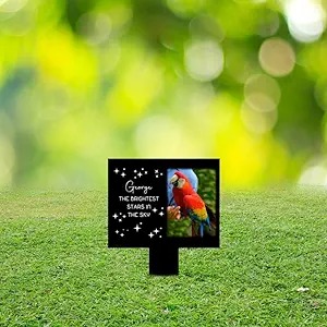 DINOZOZO Custom Parrot Photo The Brightest Stars in The Sky Parrot Grave Marker Garden Stakes Parrot Memorial Gift Custom Metal Signs