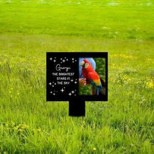 DINOZOZO Custom Parrot Photo The Brightest Stars in The Sky Parrot Grave Marker Garden Stakes Parrot Memorial Gift Custom Metal Signs2