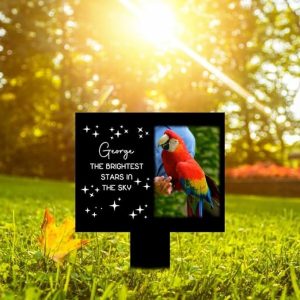 DINOZOZO Custom Parrot Photo The Brightest Stars in The Sky Parrot Grave Marker Garden Stakes Parrot Memorial Gift Custom Metal Signs3
