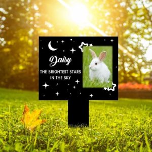 DINOZOZO Custom Rabbit Photo The Brightest Stars in The Sky Bunny Grave Marker Garden Stakes Bunny Memorial Gift Custom Metal Signs2 1