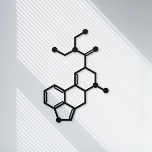 DINOZOZO LSD Molecule Science Art Chemistry Art Custom Metal Signs2