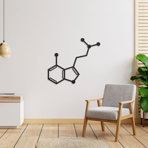DINOZOZO Magic Mushroom Psilocin Molecule Science Art Chemistry Art Custom Metal Signs