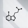 DINOZOZO Magic Mushroom Psilocin Molecule Science Art Chemistry Art Custom Metal Signs2
