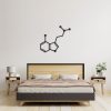 DINOZOZO Magic Mushroom Psilocin Molecule Science Art Chemistry Art Custom Metal Signs3