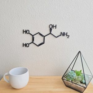 DINOZOZO Norepinephrine Molecule Science Art Chemistry Art Custom Metal Signs