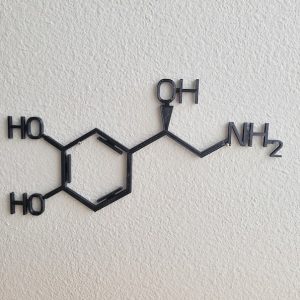 DINOZOZO Norepinephrine Molecule Science Art Chemistry Art Custom Metal Signs3