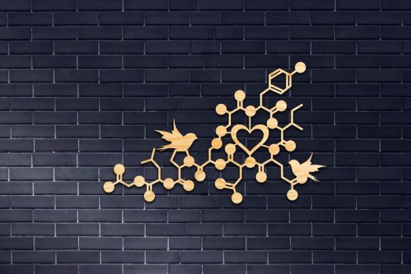 DINOZOZO Oxytocine Heart Molecule Science Art Chemistry Art Custom Metal Signs