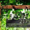 DINOZOZO Personalized Chicken Cow Horse Rabbit Farmhouse Farm Animals Address Sign Custom Metal Signs2