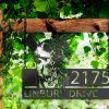 DINOZOZO Personalized Floral Llama Animal Address Sign Custom Metal Signs2