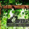 DINOZOZO Personalized Peeking Parrot Address Sign Custom Metal Signs2